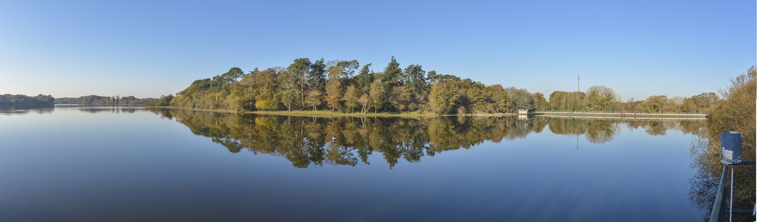 sage-estuaire-de-la-loire-agir-ensemble-pour-leau