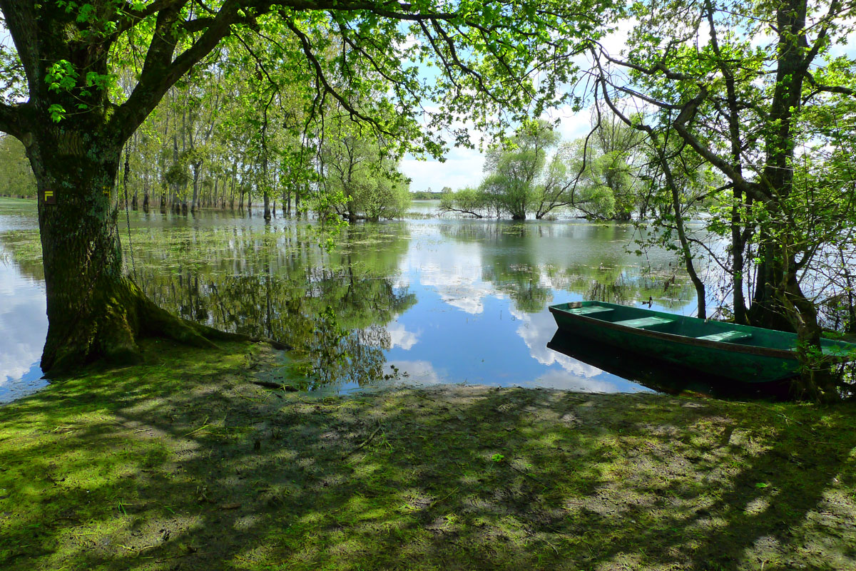 https://www.sage-estuaire-loire.org/wp-content/uploads/2022/02/Marais-de-Goulaine.jpg