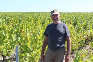 Stéphane David dans ses vignes.